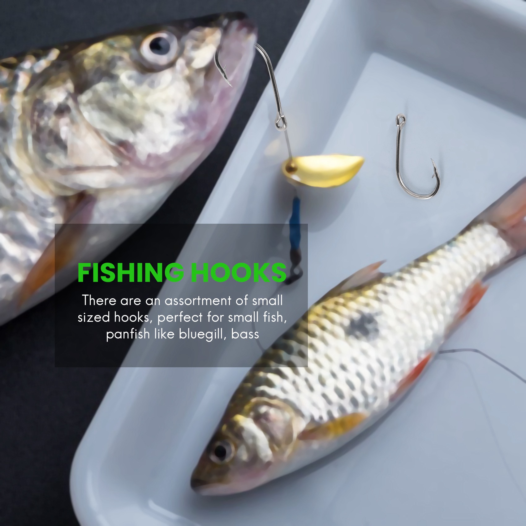 New arrival  500Pcs/Set Mixed  - Fishing Hook Box ulasan dan harga